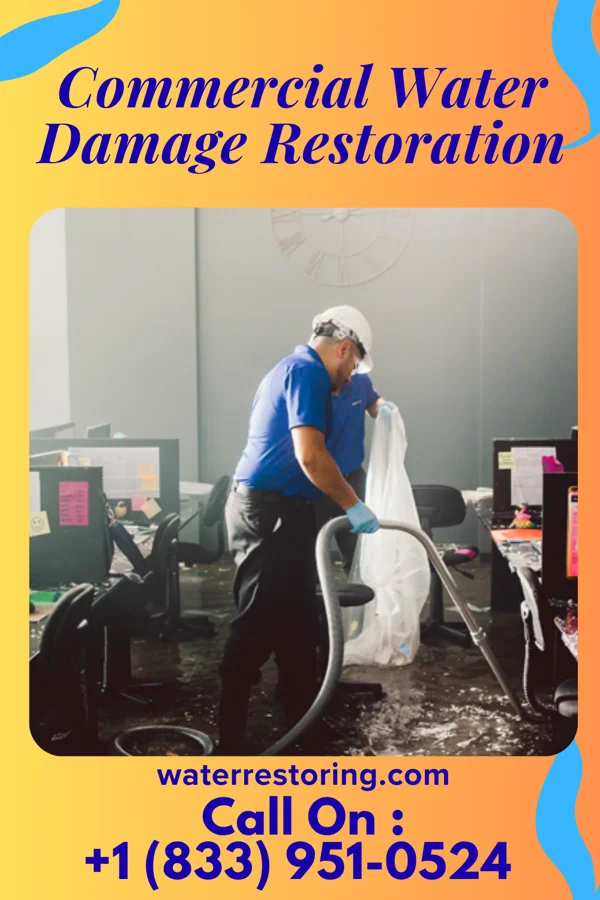 Commercial Water Damage Restoration in Vining, IA