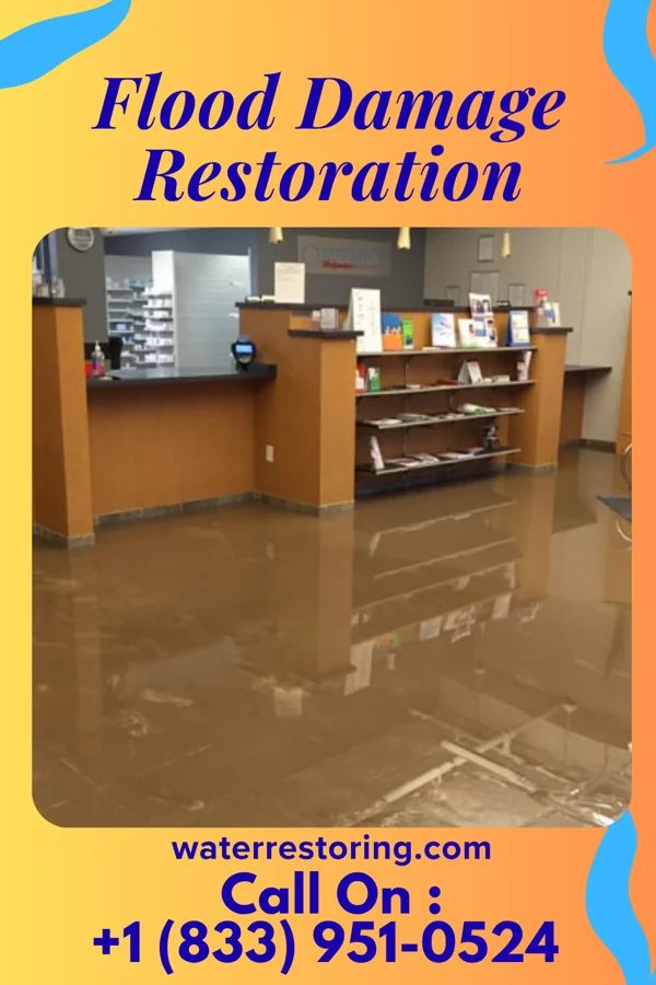 Flood Damage Restoration in Vining, IA